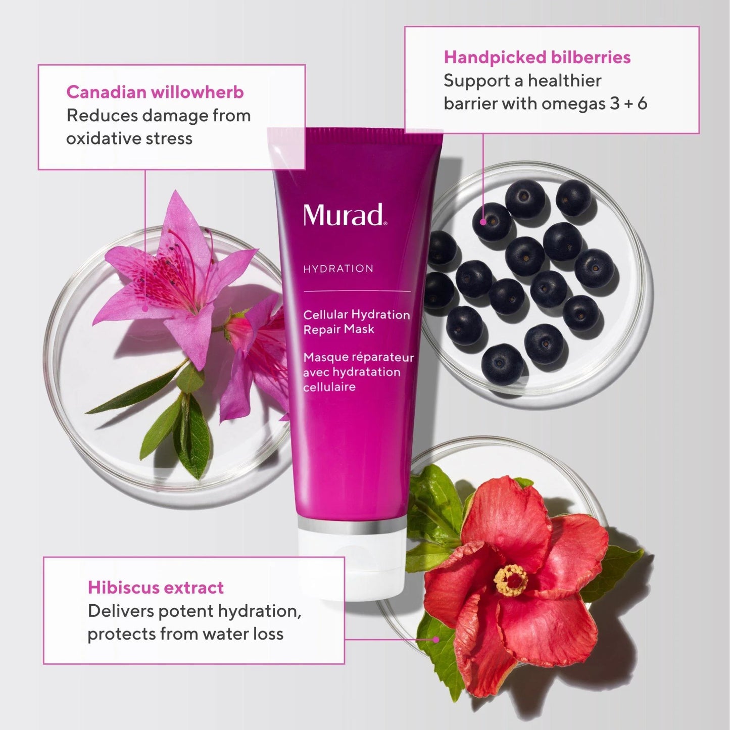 Murad HYDRATION Cellular Hydration Repair Mask