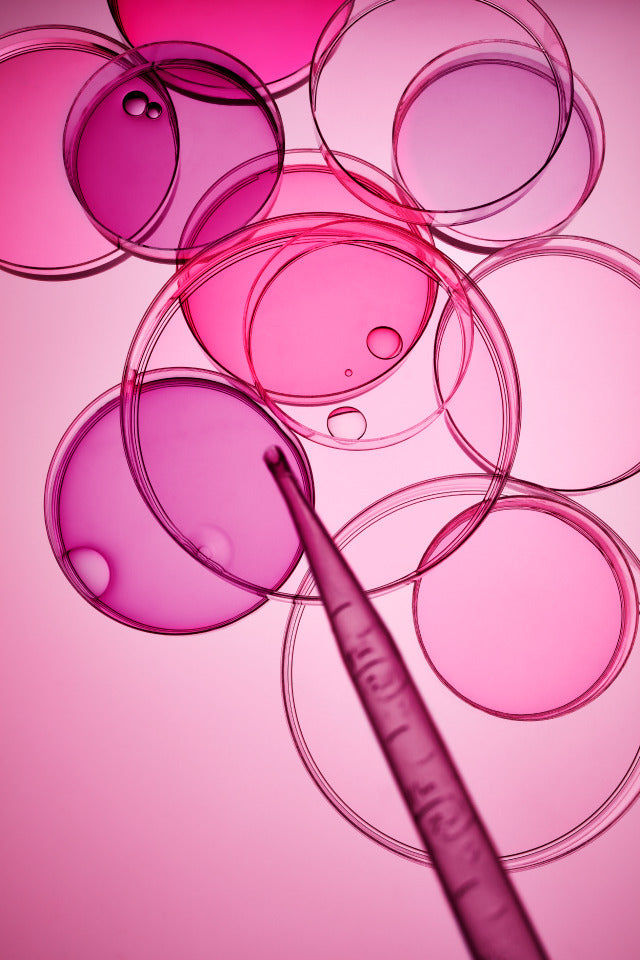 Murad HYDRATION Cellular Hydration Repair Serum